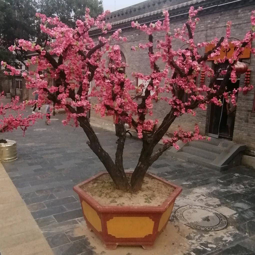用户一生有你