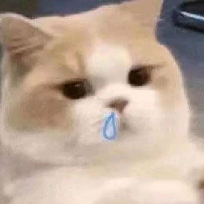 然然然然