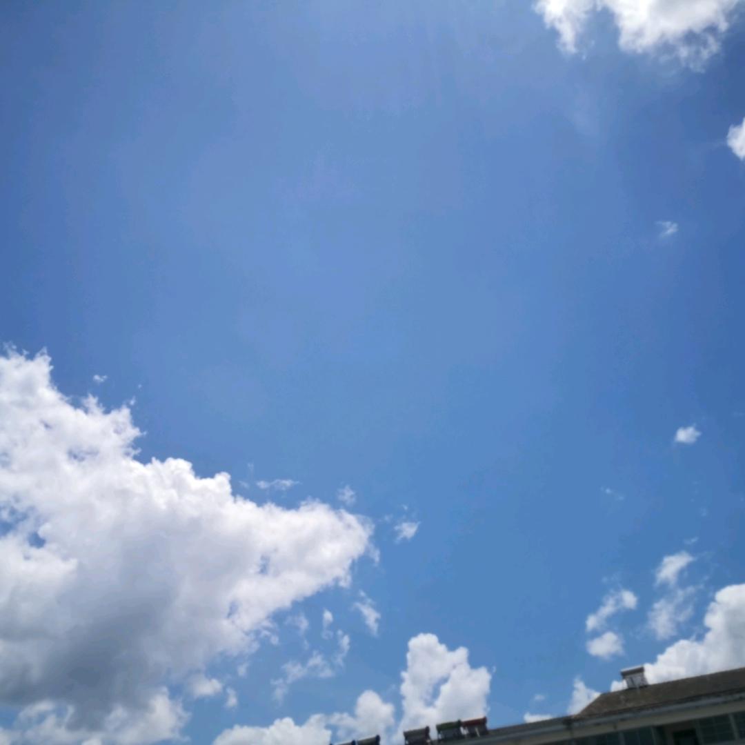 马坑剑兰