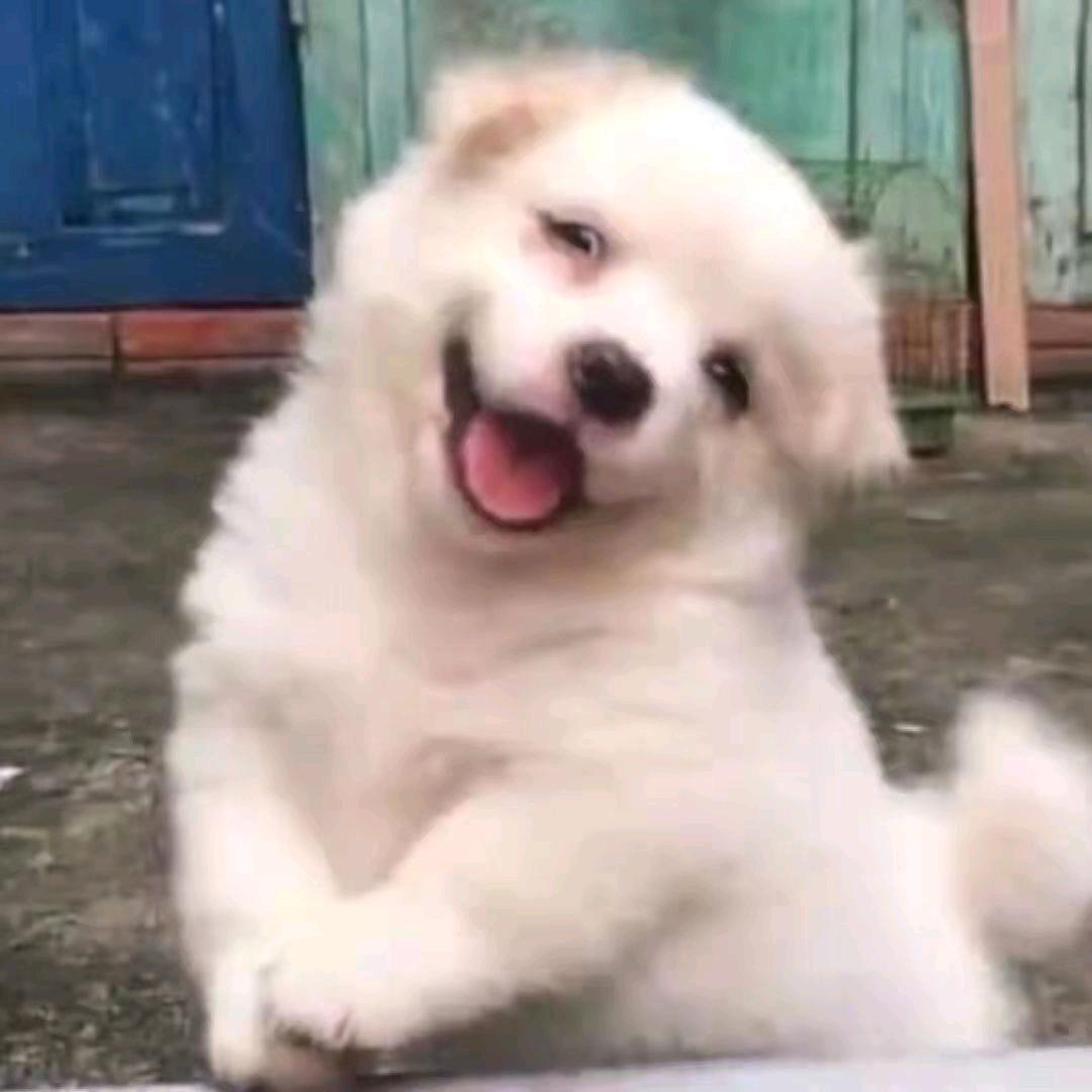 用户4511553045642