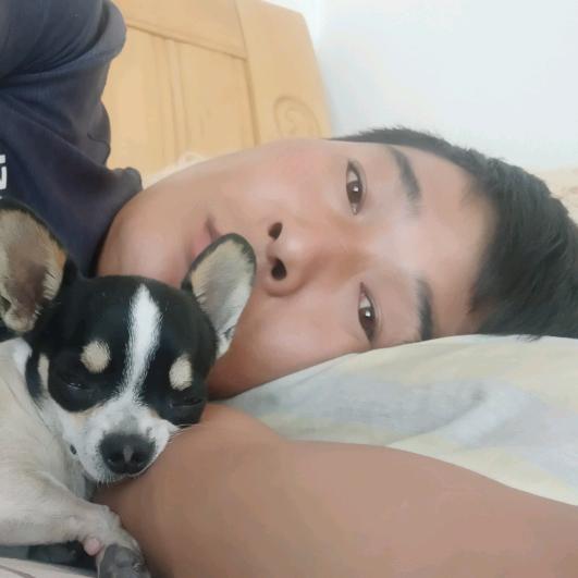 阿木1384777-----439