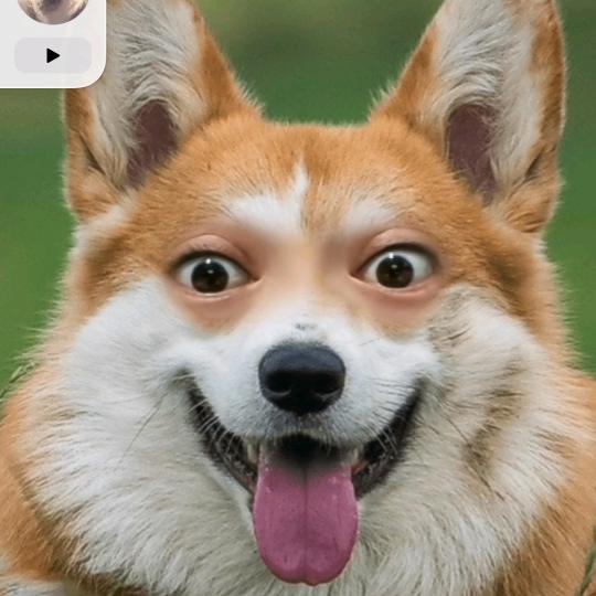 珠绣花型开发设计制卡打带