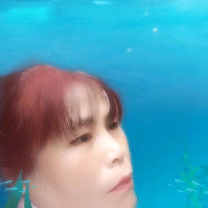 一场游戏一场梦