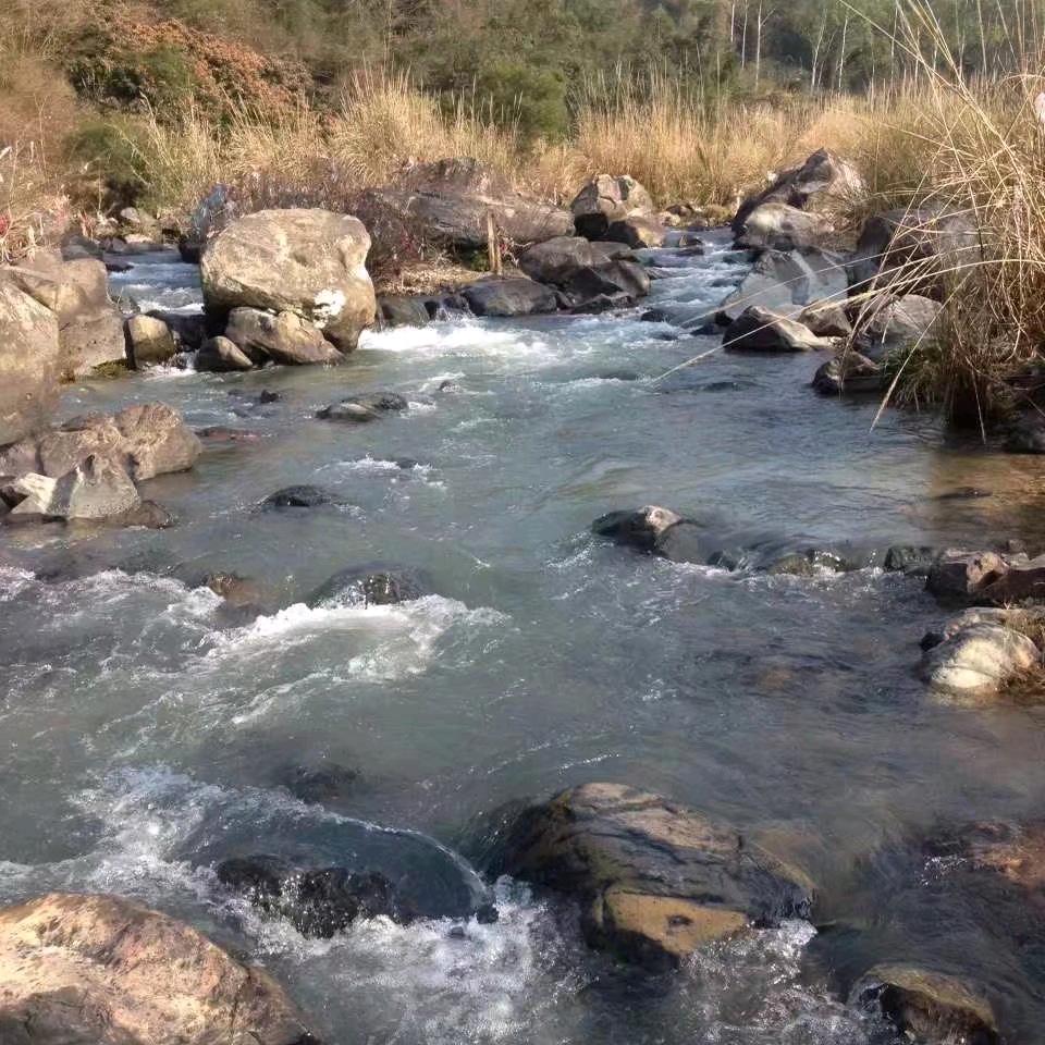 静待佳音