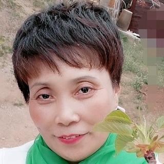 鸿运来。