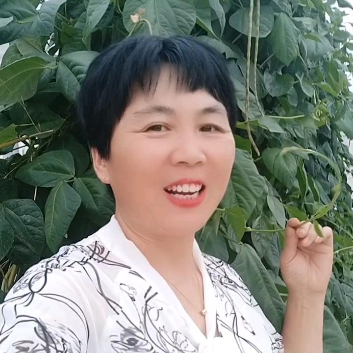 静姐