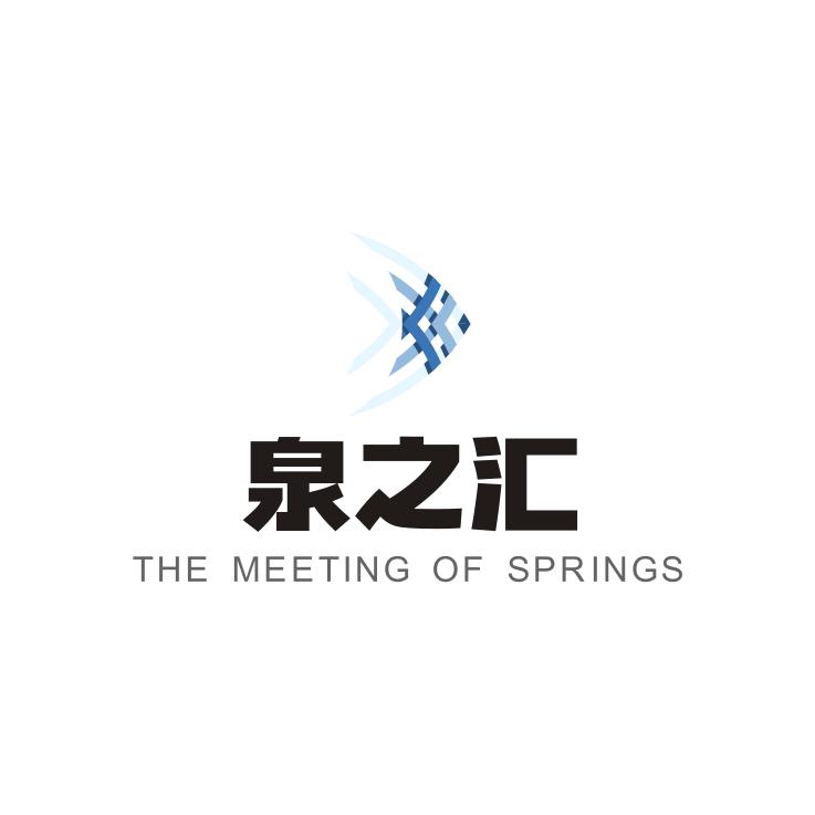 武汉泉之汇信息技术有限公司