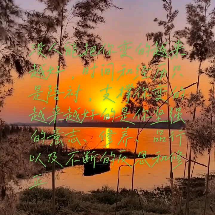 陪我一起自豪，