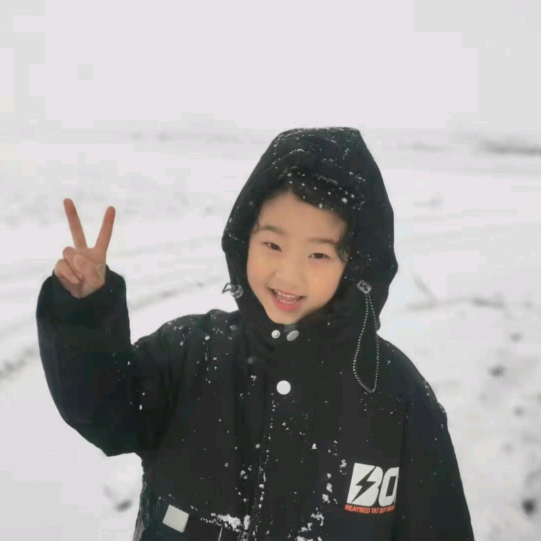 彬州市雪雕优品—王兰