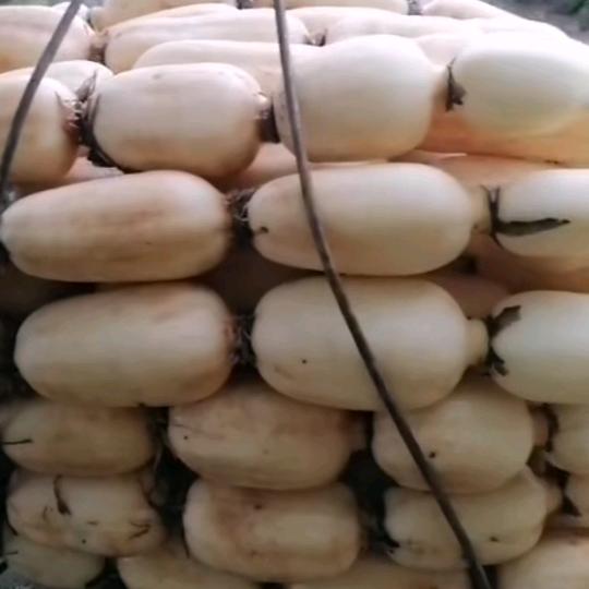 Ren梅梅