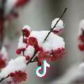 一缕阳光