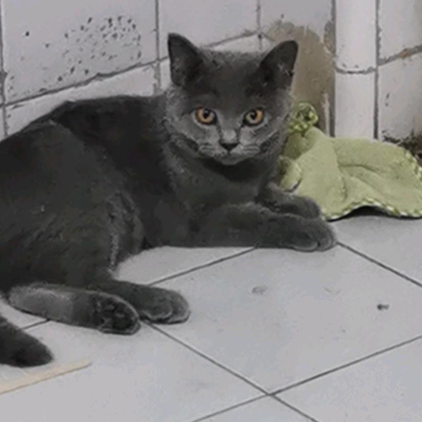 双奥美食城
