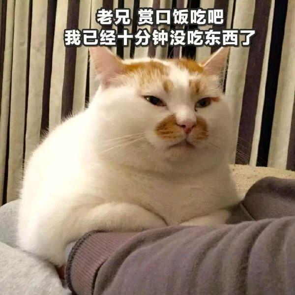 后青春期的诗