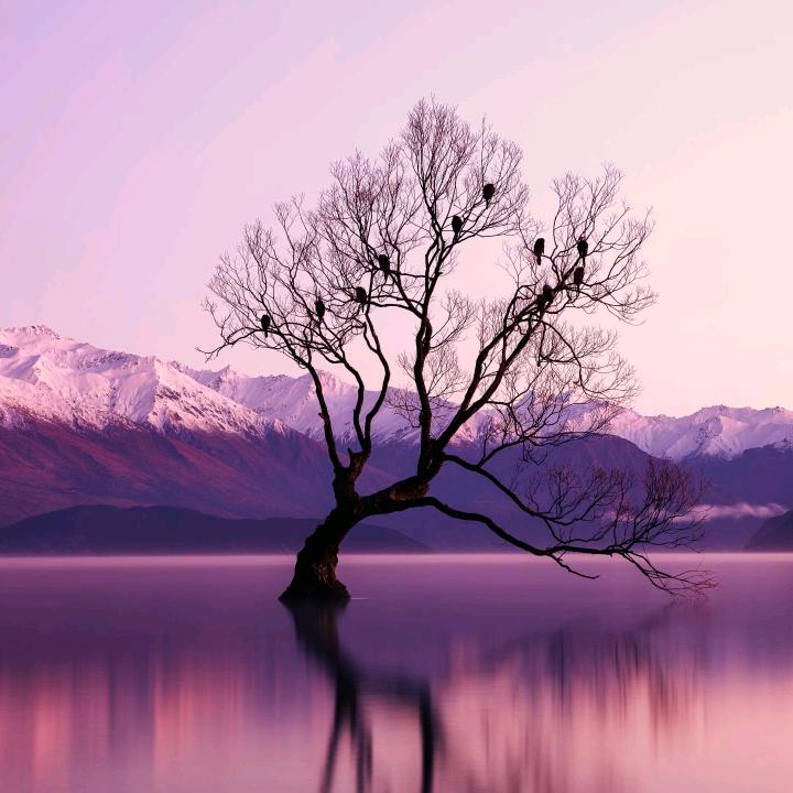 ◡' ꀿªᵖᵖᵞ 𝚝𝚒𝚖𝚎 👭