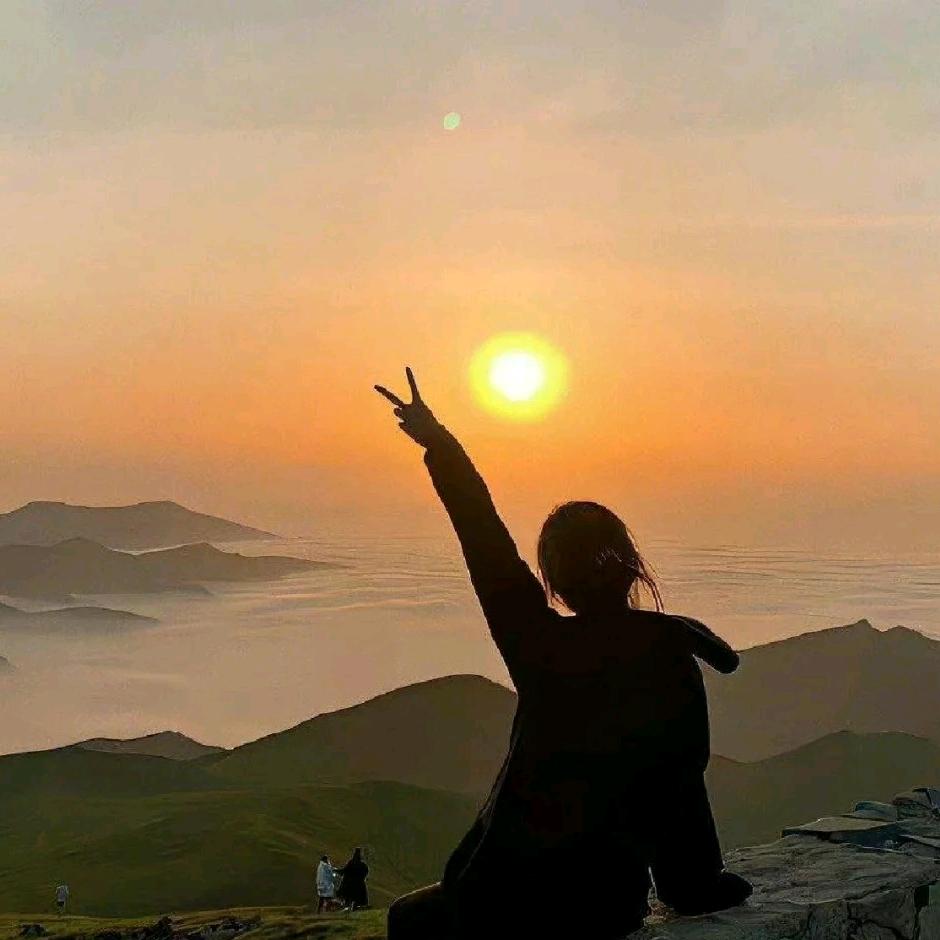 司机运营中心
