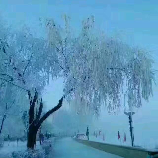 用户7428665398136