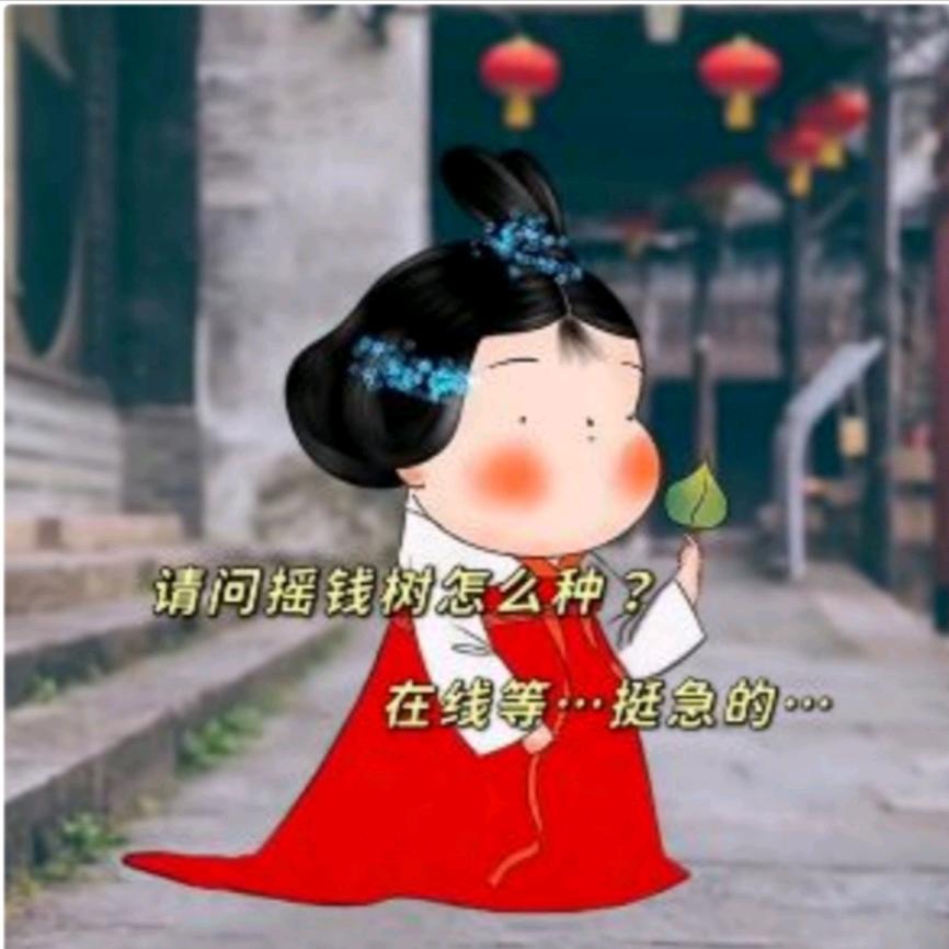 🌟懒得取名字🌟