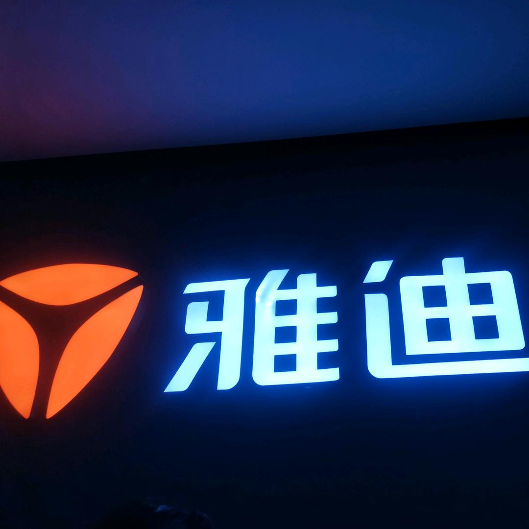 石盖塘雅迪九号宗申