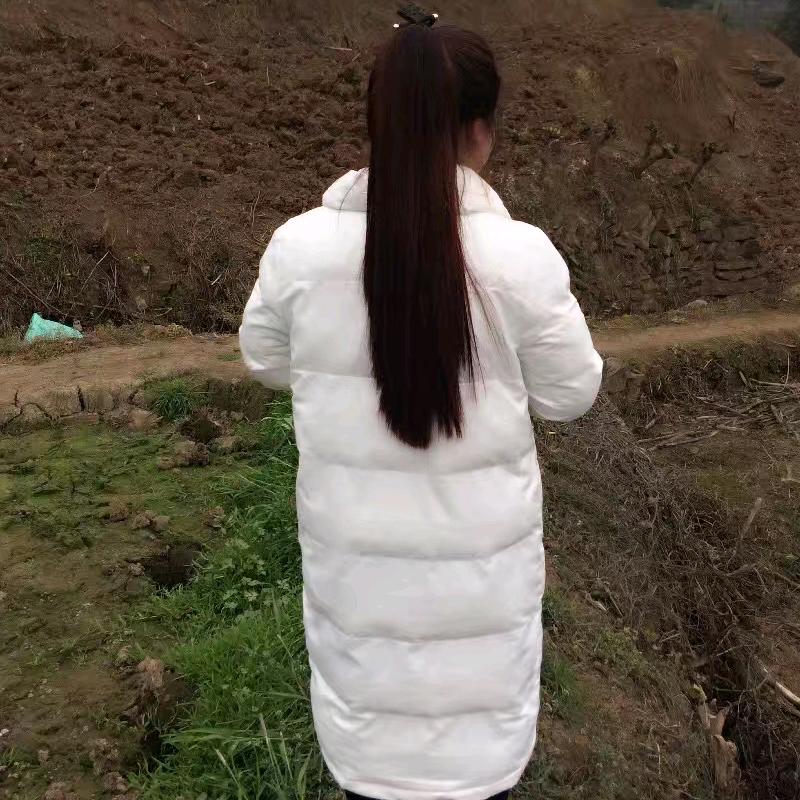 泡芙小姐爱工作