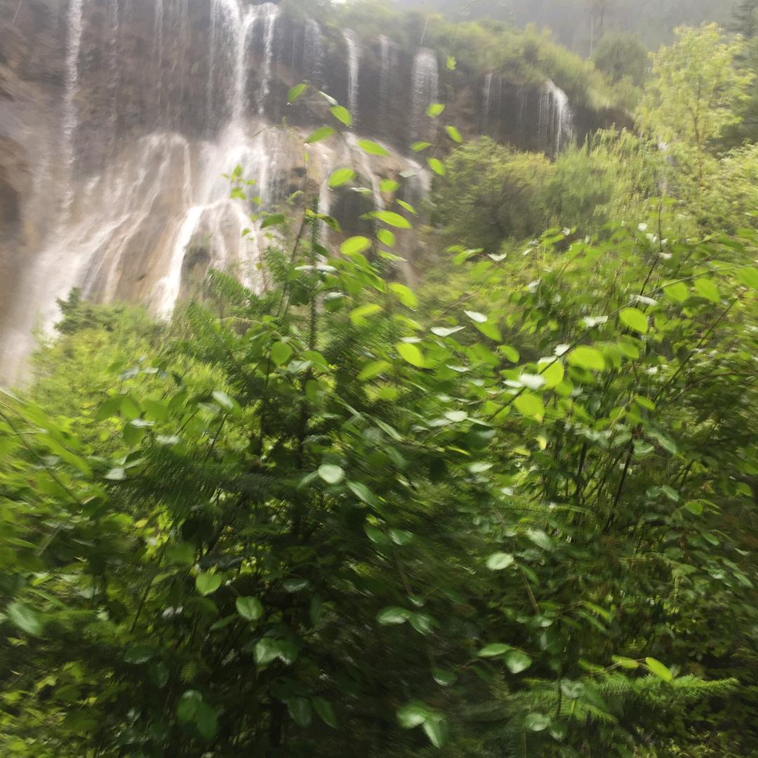 🍊顺其自然🍎🌻