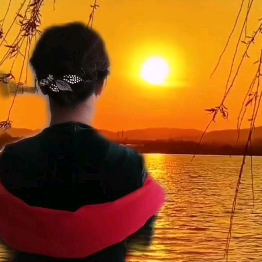 祥云     🌴 🌻