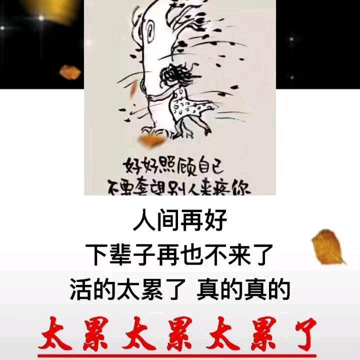 高压锅