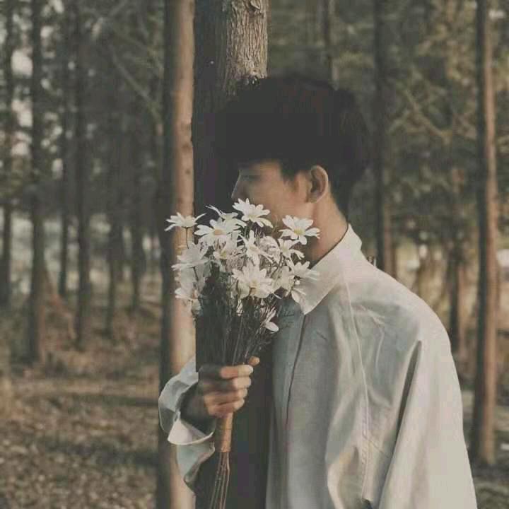 扶光洛