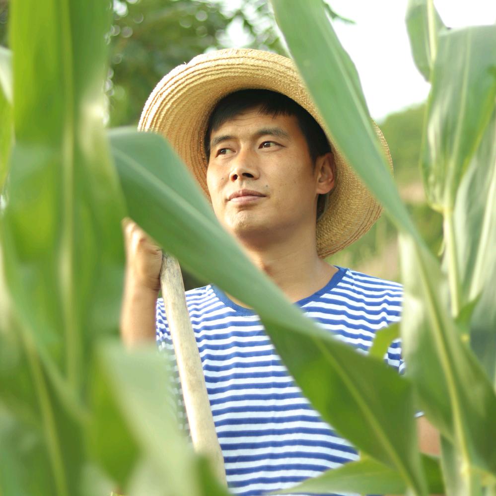 秀才（胖哥小明与秀才）