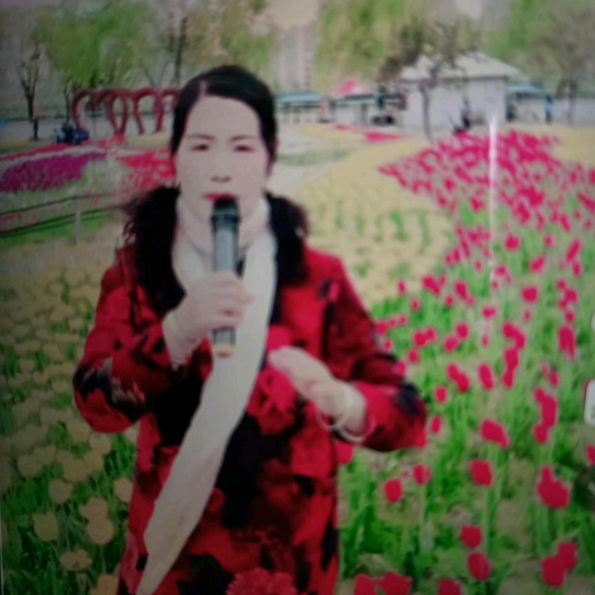 开心青菜