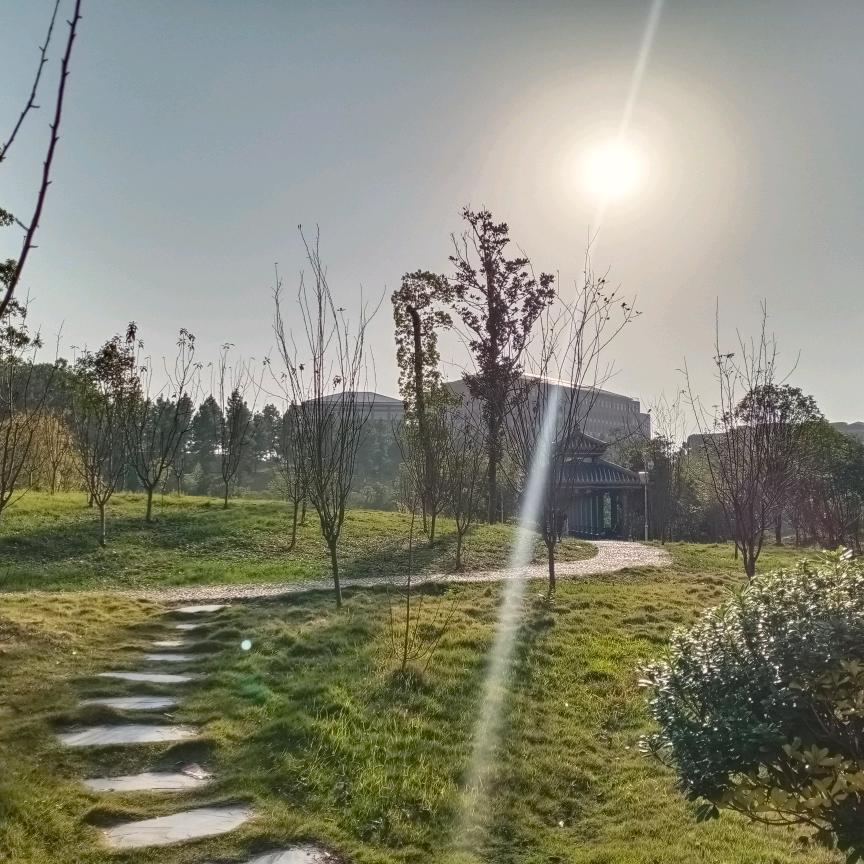 学锅锅