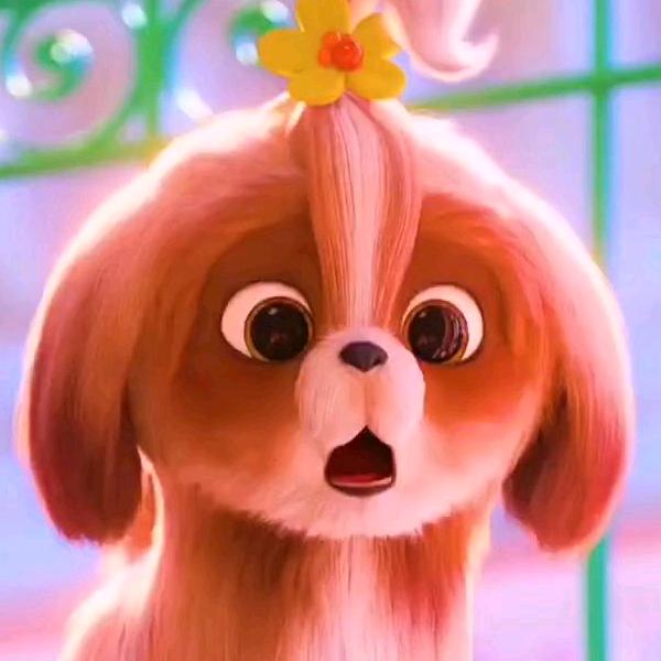 姜姜姜、姜子牙