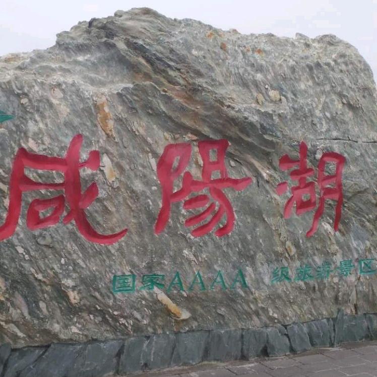 奇奇