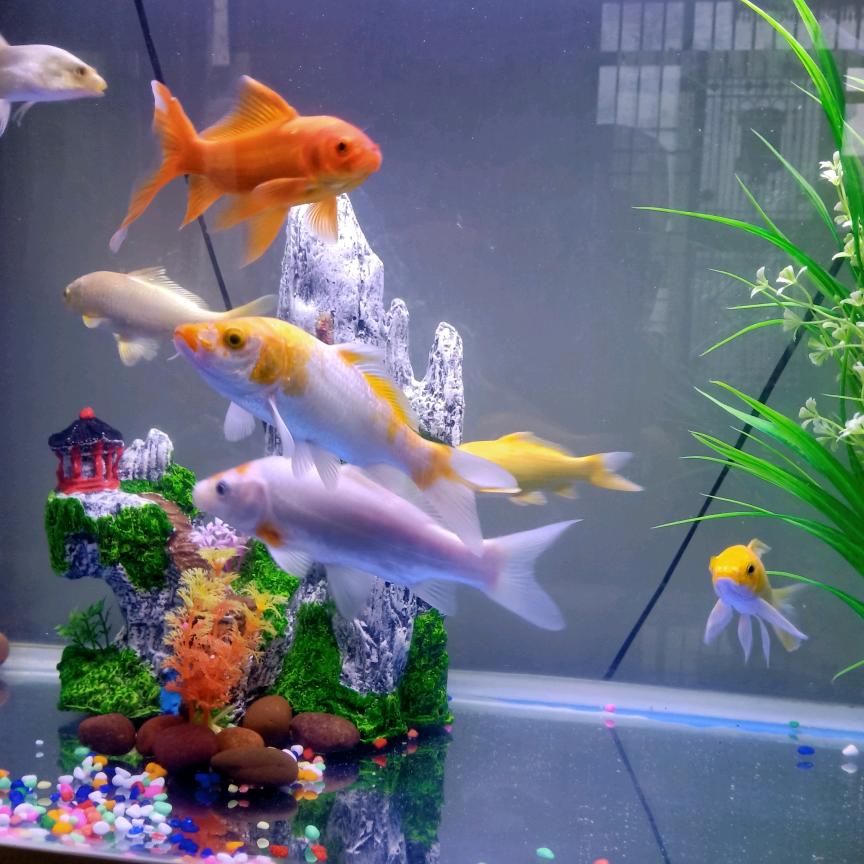 为更好的明天加油