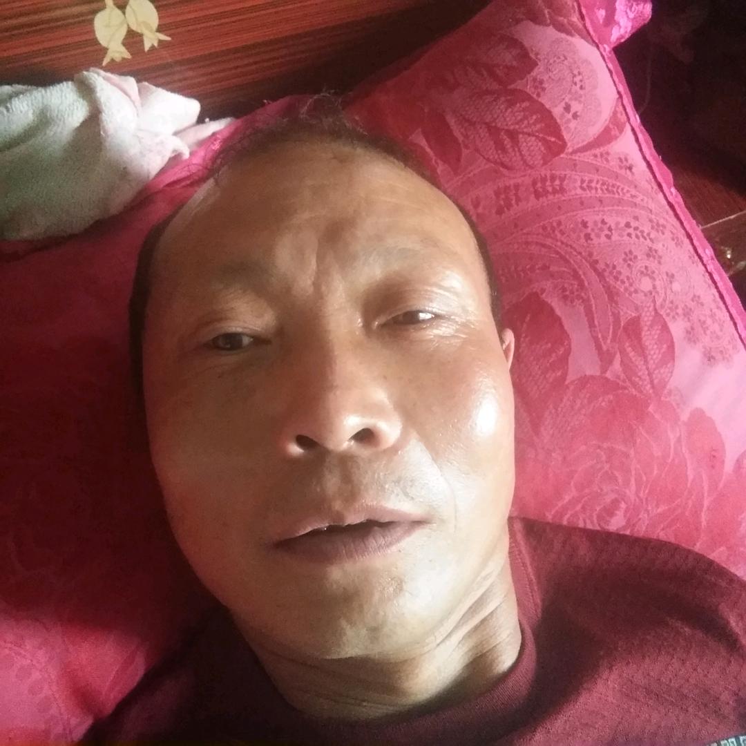 何友伦