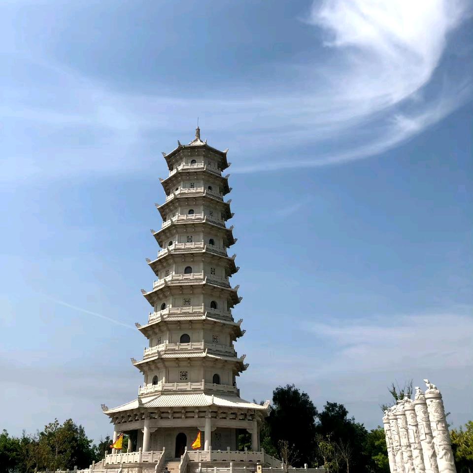 天成生物科技