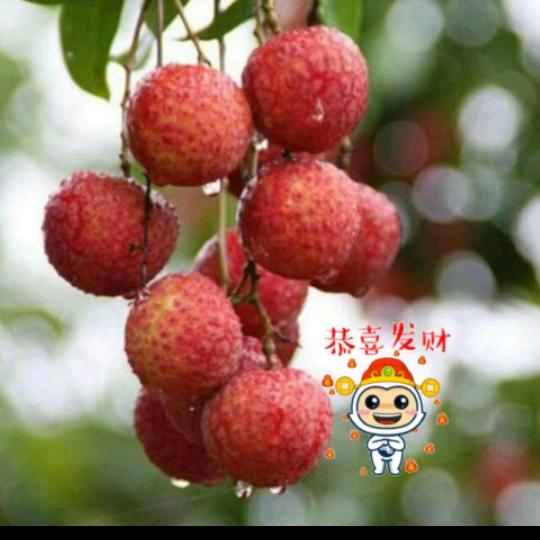 彼此守护