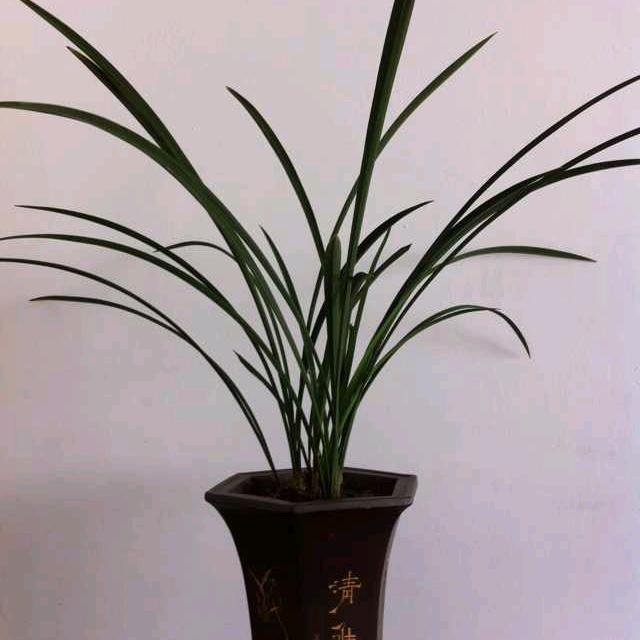 暮鼓晨钟