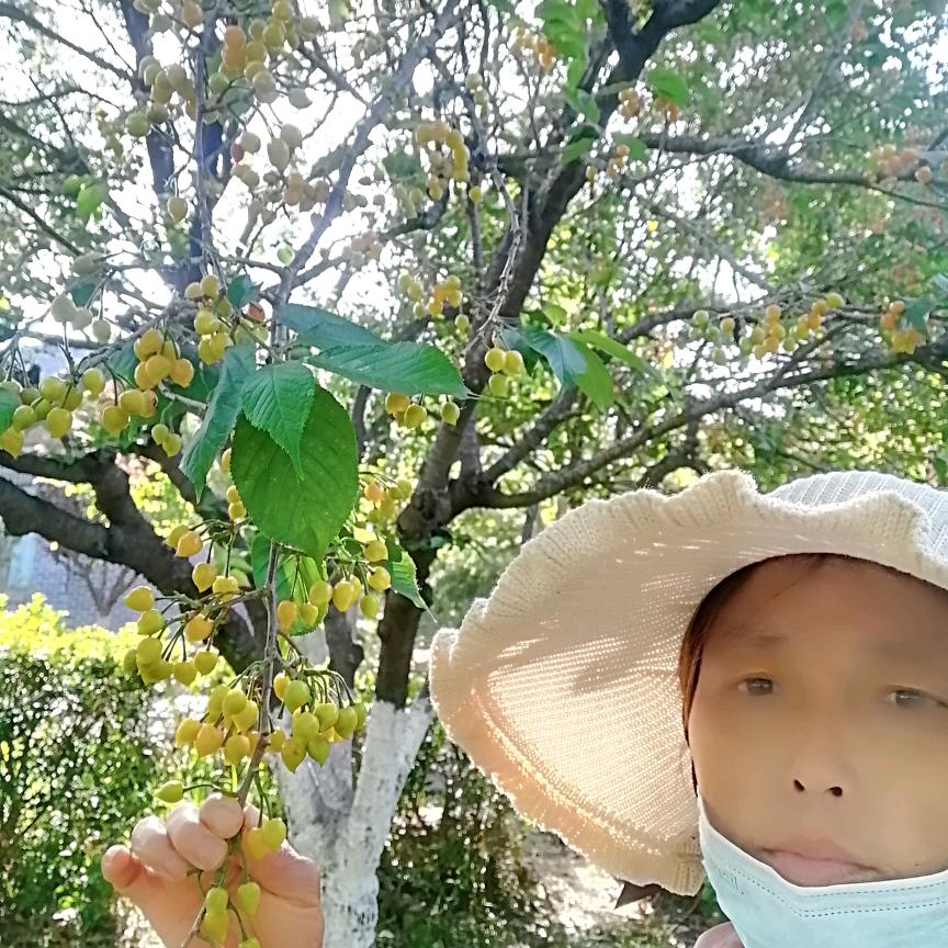 天生我才必有用