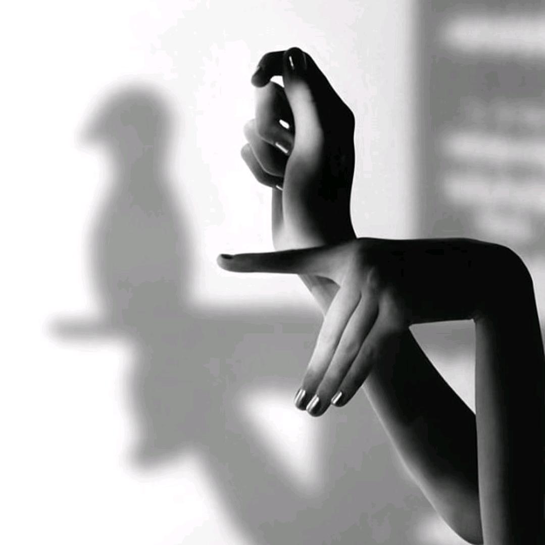 音乐•时分✨