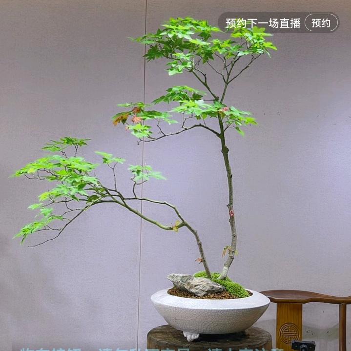 贵福缘