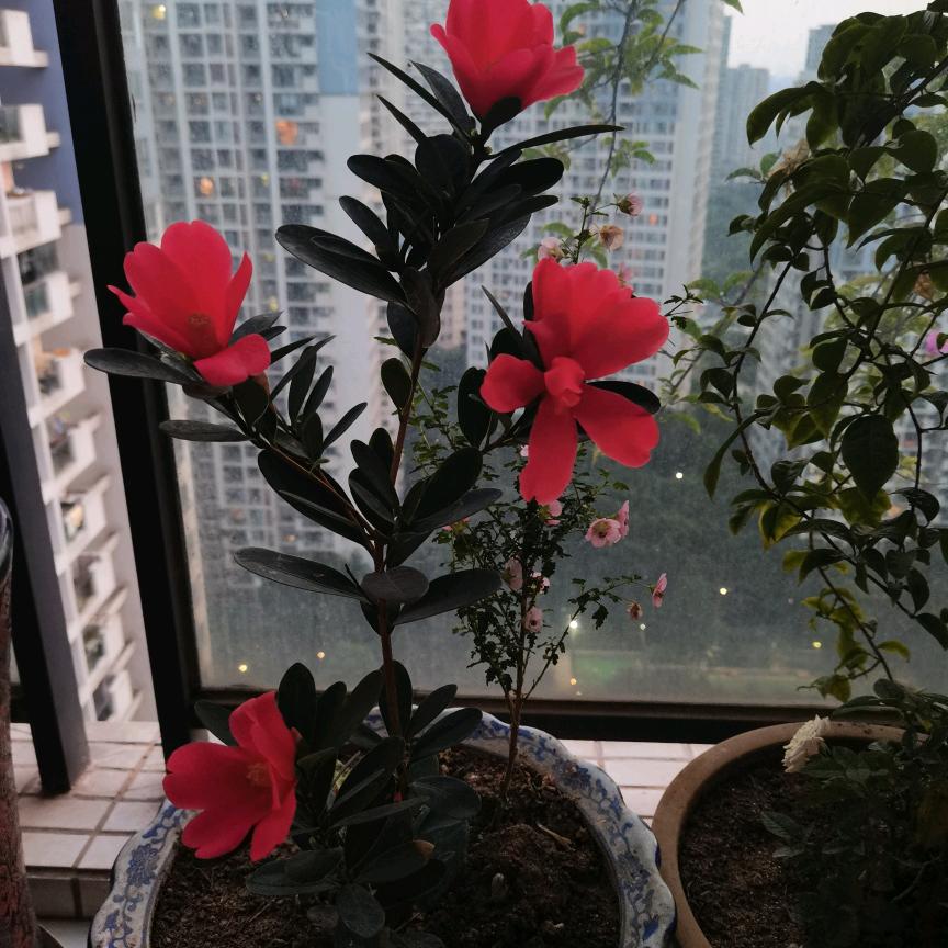 握不住的沙，不如扬了他