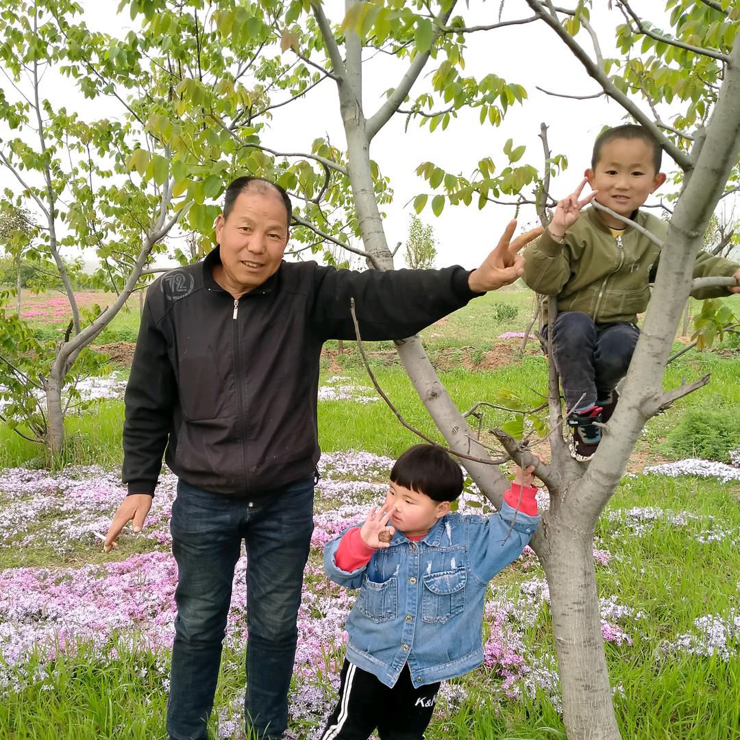 打牌高手