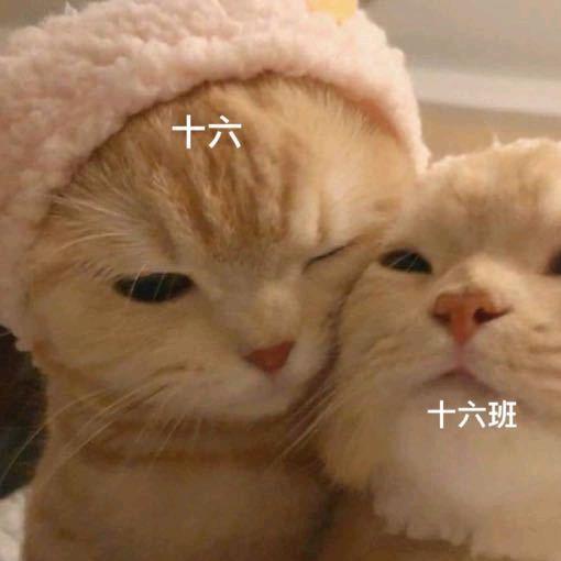 我是你的💜十六phone