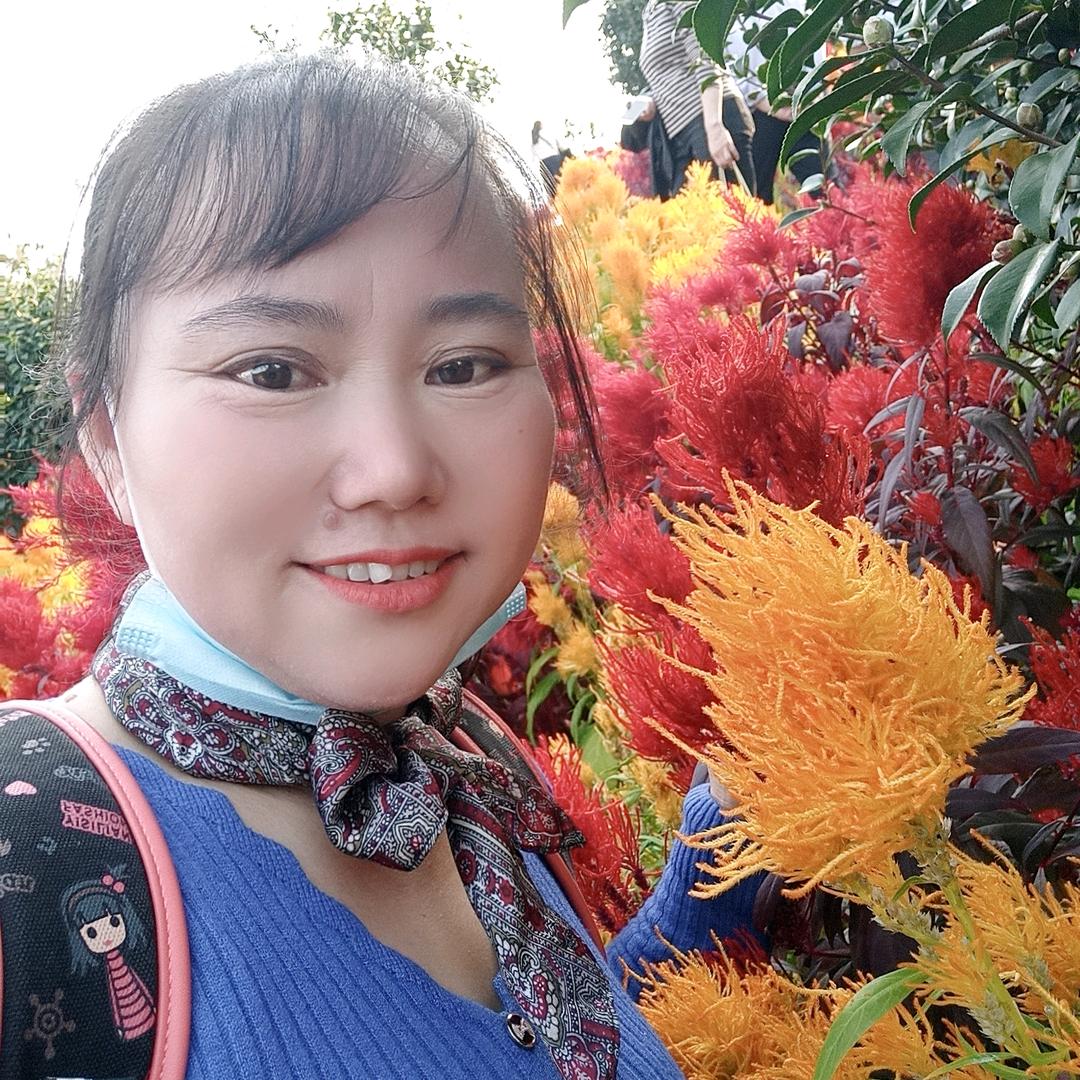 2078492949缘份
