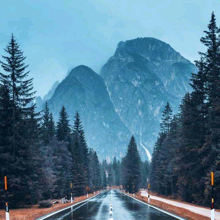 爱吃苹果