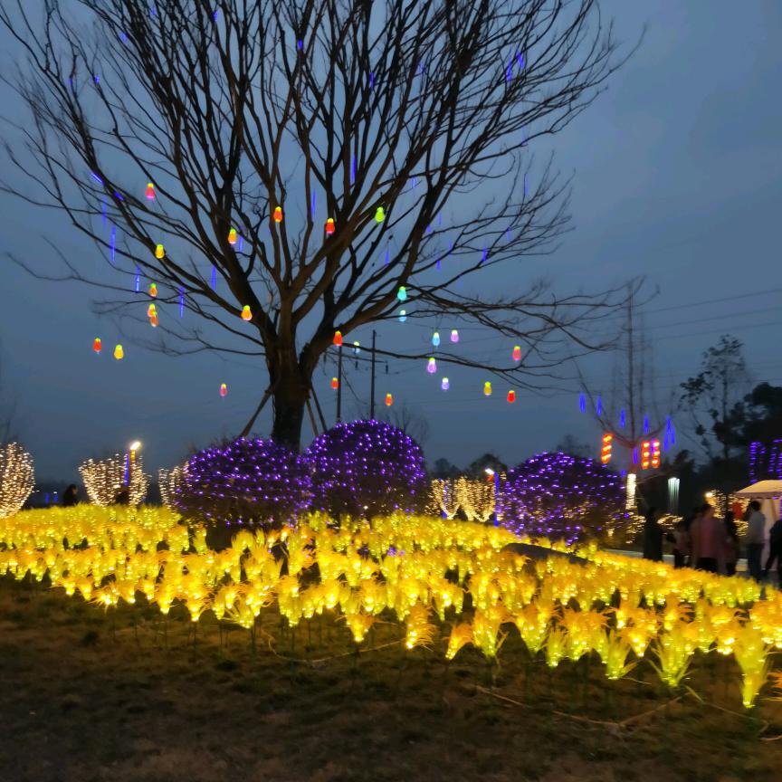 ✧٩(ˊωˋ冰心*)و✧