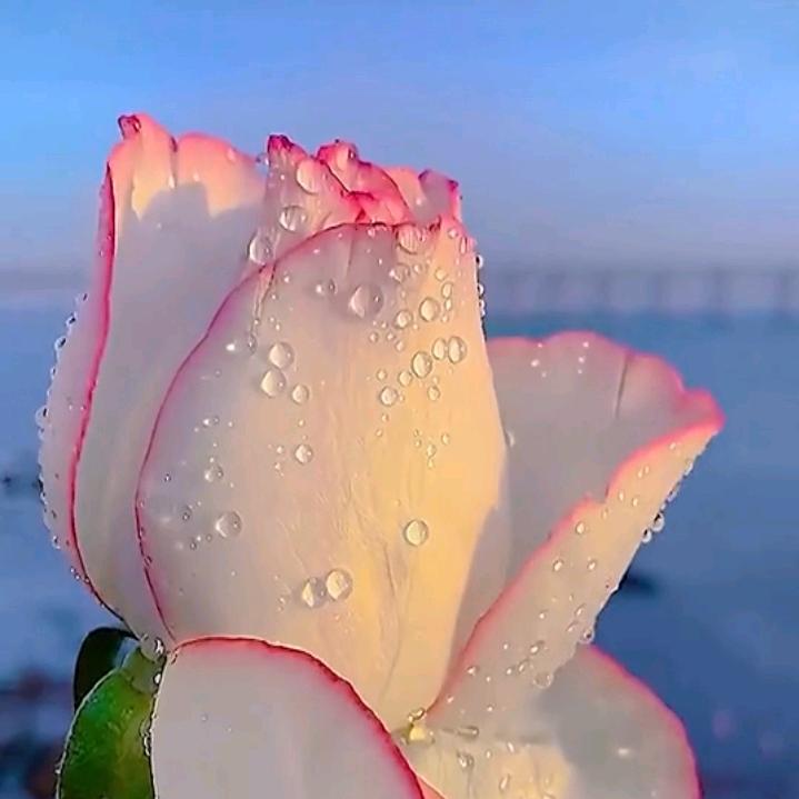 缘的隔离度🎼๑•́₃•̀๑