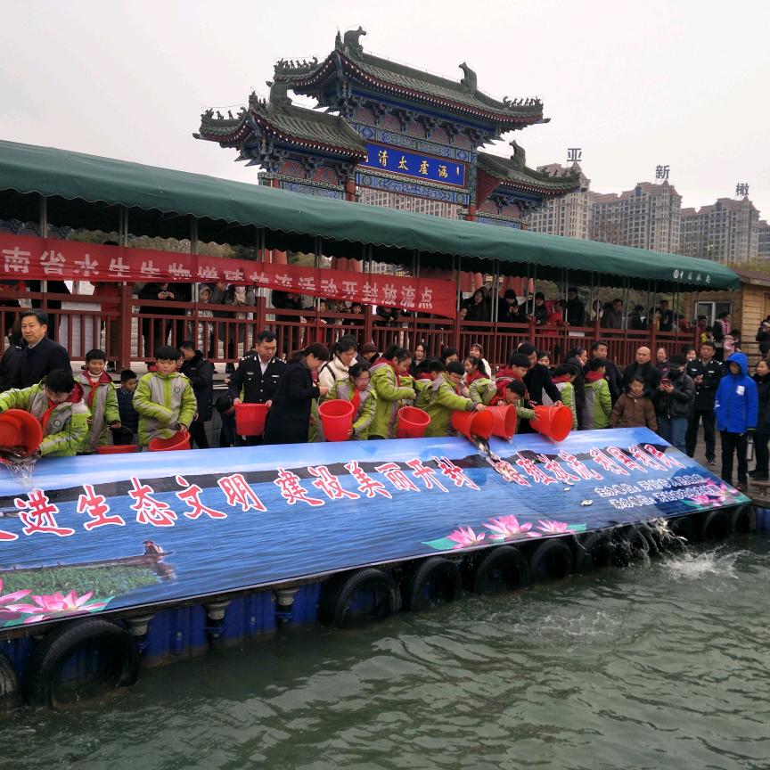 黄河鲇鱼