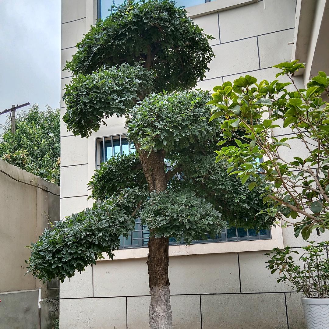 过好每一天