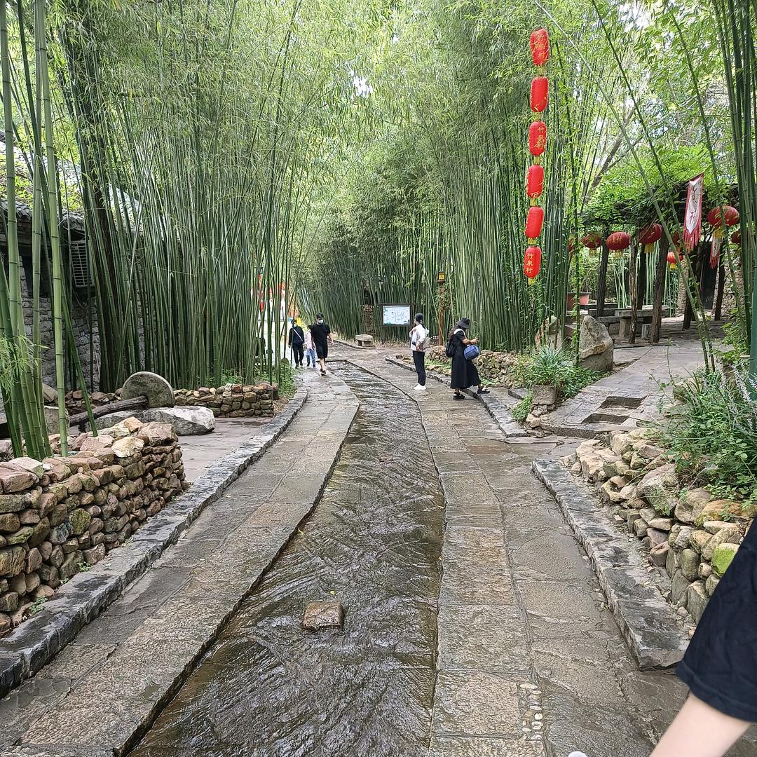 时光不老：